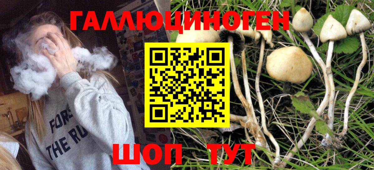 COCAIN  Лсд 25  Георгиевск  Мефедрон   Вход с VPN  Где купить наркотики?  ГАШ  Марихуана 