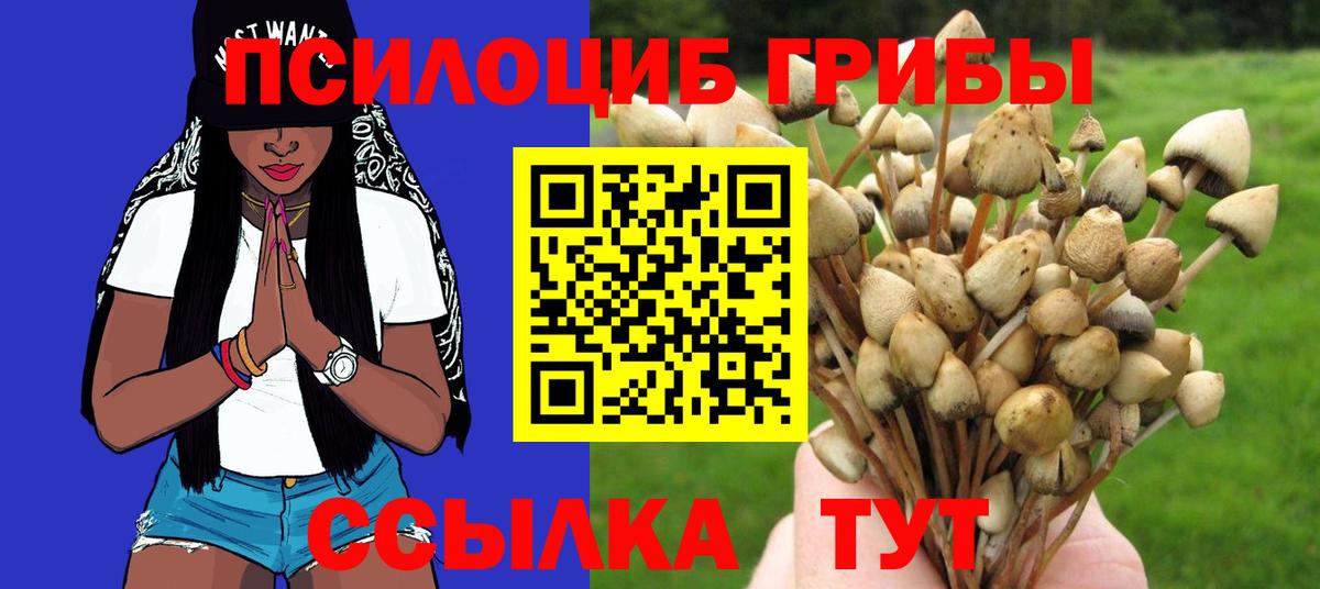 Псилоцибиновые грибы Cubensis Георгиевск