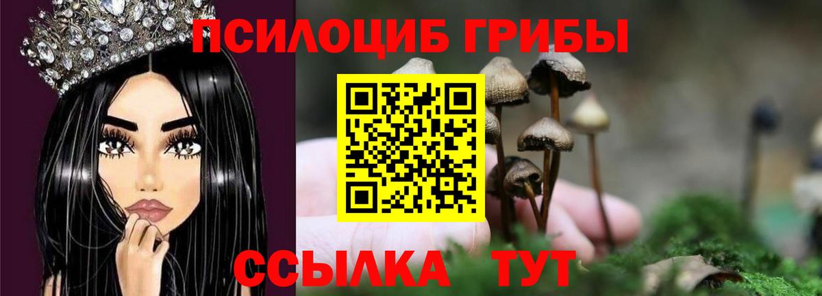 Alpha PVP Георгиевск